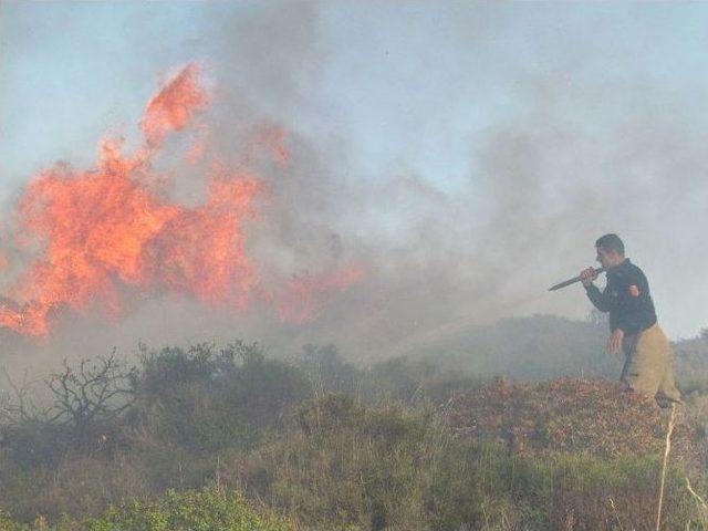 Çeşme’de Makilik Alanda Yangın Tedirginliği