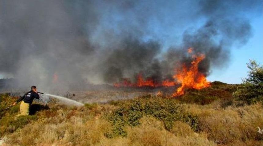 &Ccedil;eşme'de 5 D&ouml;n&uuml;m Makilik Alan Yandı