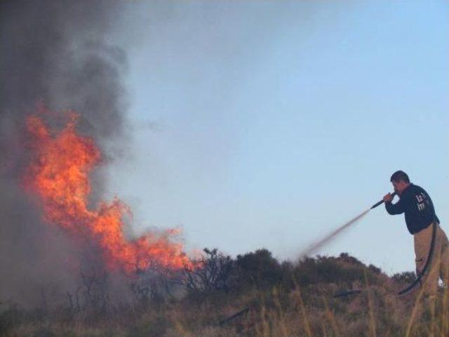 Çeşme de 5 Dönüm Makilik Alan Yandı 2
