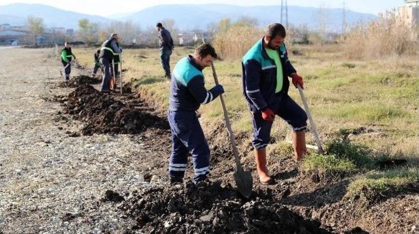 Başiskele&rsquo;de Ağa&ccedil;landırma &Ccedil;alışmaları S&uuml;r&uuml;yor