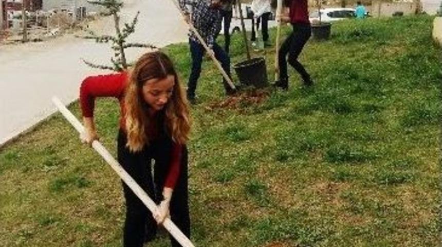 &Uuml;niversiteli &Ouml;ğrenciler Parka Fidan Dikti