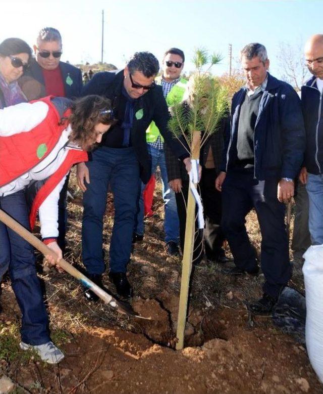 Ada Uz'un Anısına Fidan Diktiler