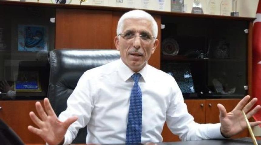 T&uuml;rkiye 170 Milyon Zeytin Ağacı Ile D&uuml;nyada 2'nci Sırada