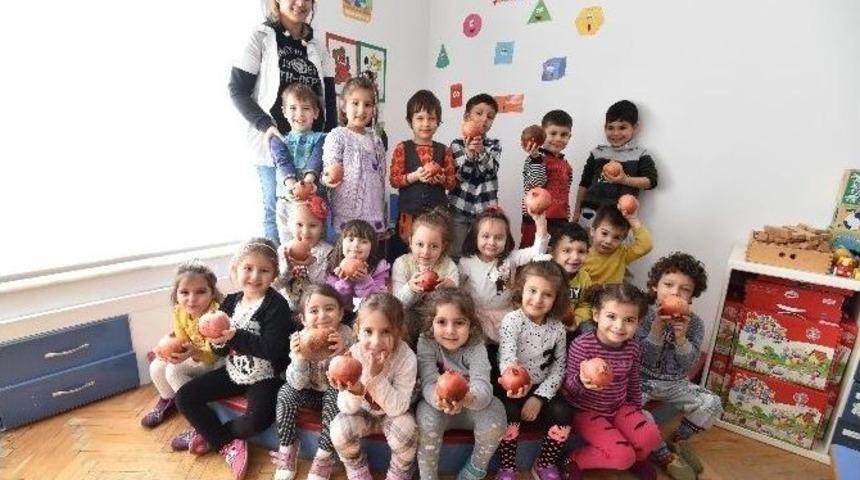 Nar &Uuml;reticisine Destek İ&ccedil;in Yerli Malı Haftası&rsquo;nda Nar Dağıtılacak