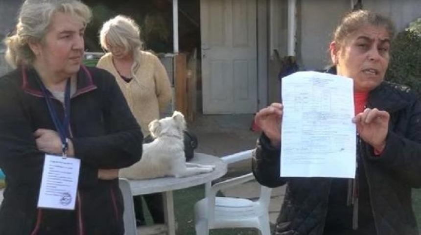 Sokak K&ouml;peklerini Toplayarak Beslemesi Nedeniyle Ceza Kesildi