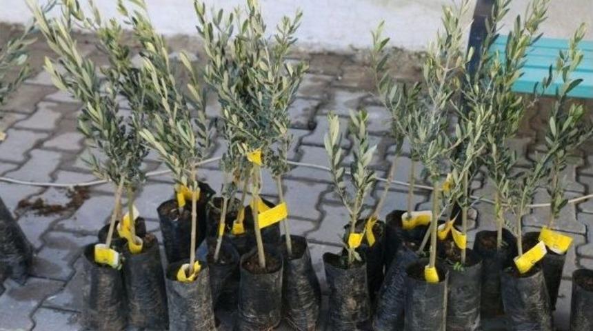 Selendili &Uuml;reticiye B&uuml;y&uuml;k Destek