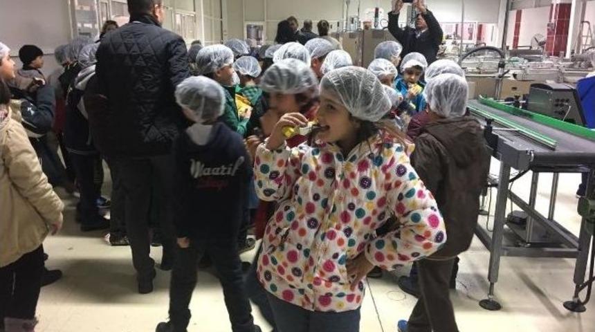 &Ouml;ğrenciler Osb&rsquo;yi Gezdi