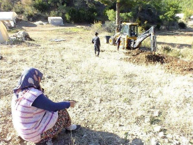 Telef Olan Koyunlarının Arkasından G&ouml;zyaşı D&ouml;kt&uuml; 1