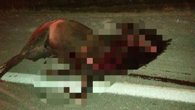 Ata &Ccedil;arpan Kamyonete Otomobil &Ccedil;arptı: 5 Yaralı 2