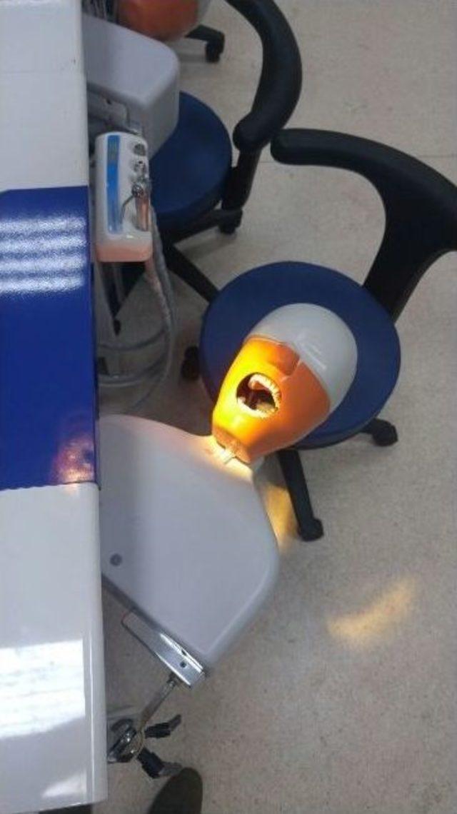 B&uuml;lent Ecevit &Uuml;niversitesi Diş Hekimliği Fak&uuml;ltesi&rsquo;nde Fantom Model Sayısı Artırıldı 2