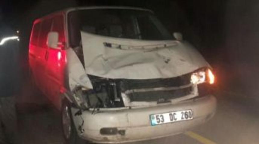 Minib&uuml;s Aniden Yola &Ccedil;ıkan İneğe &Ccedil;arptı