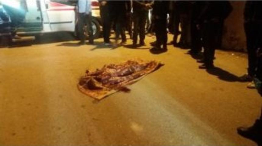 Tarsus&rsquo;ta Pikabın &Ccedil;arptığı &Ccedil;ocuk Hayatını Kaybetti