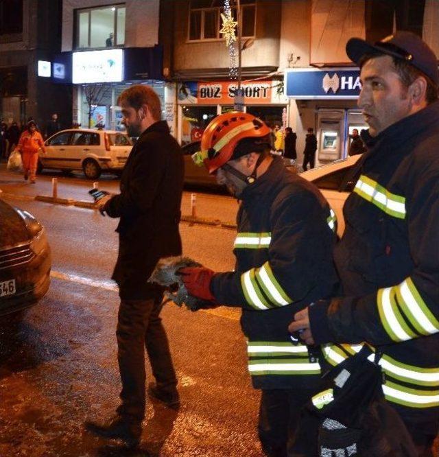 Isınmak İçin Otomobilin Kaputuna Giren Kedi Yavrusunu İtfaiye Ekipleri Kurtardı