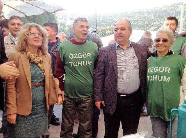 Datça Yerel Tohumculuğa Dönüyor