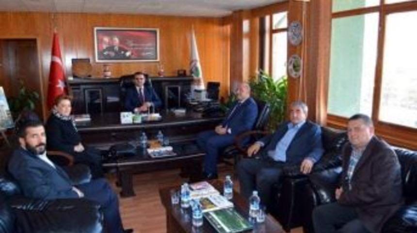 M&uuml;d&uuml;r Adnan Kayım: K&uuml;tahya Daha Yeşil Olacak