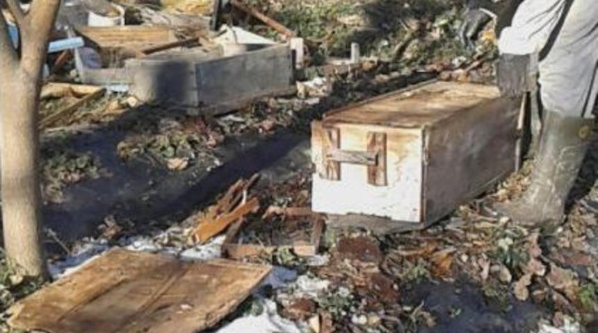 Ayı Mahalleye Indi, Arı Kovanları Bu Hale Geldi