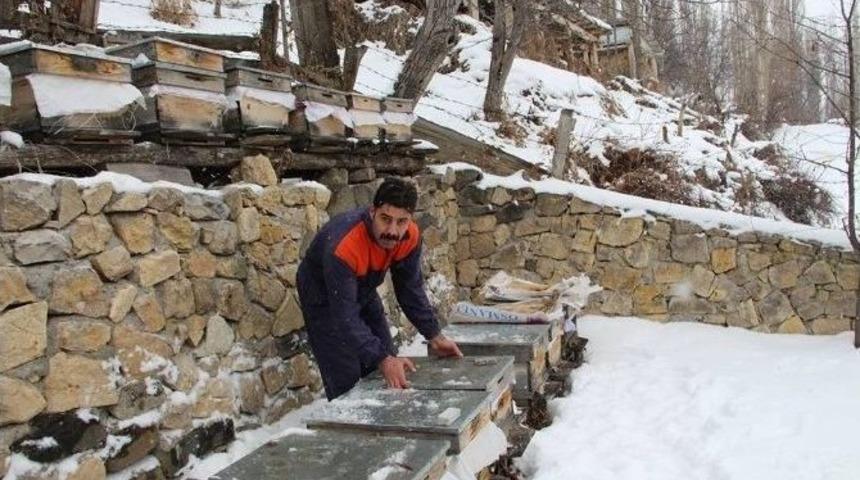 Tasarruf İ&ccedil;in Arılarını Kışlatıyor