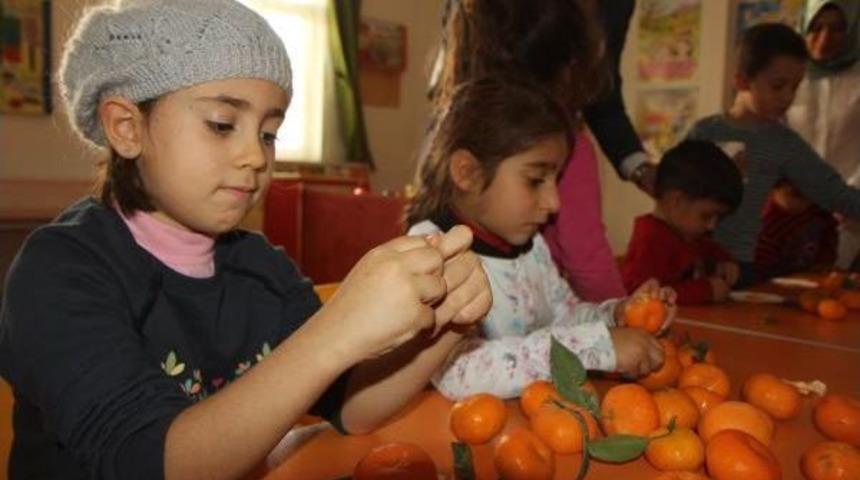Mersin'de Okullara 7 Ton Mandalina Dağıtıldı