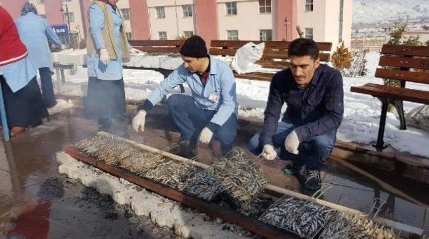 Yurt &Ouml;ğrencilerine Hamsi Ziyafeti