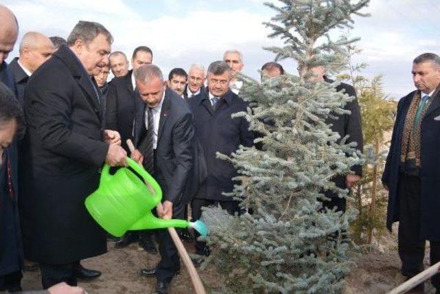Bakan Eroğlu, &Ouml;mer Halisdemir&rsquo;In Kabrini Ziyaret Etti 1
