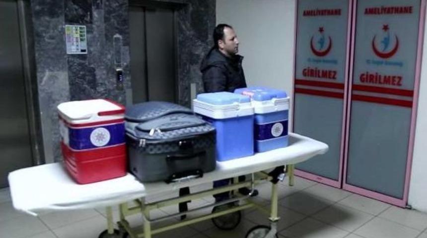 Bağışlanan Organlar 3 Hastaya Umut Oldu
