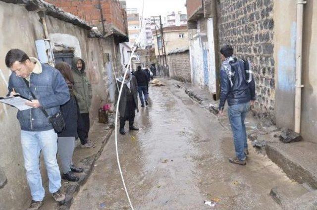 Kopan Elektrik Teli Üzerine Düşen 2 Koyun Telef Oldu