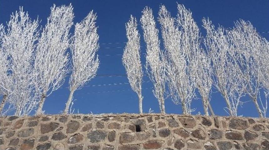 (&ouml;zel Haber) &Ccedil;aldıran Adeta Dondu
