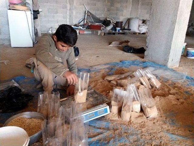 Suriye&rsquo;deki Mesleklerini T&uuml;rkiye&rsquo;de Devam Ettiriyorlar 1