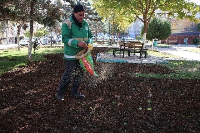 Haliliye’de Parklarda Hummalı Çalışma