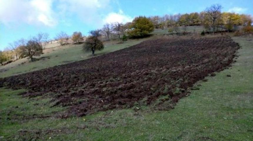 Yaban Hayvanlarına &Ouml;zel Besin Tarlası