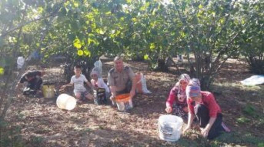 Ogm, T&uuml;rkiye&rsquo;nin En B&uuml;y&uuml;k Fındık &Uuml;reticileri Arasına Girdi