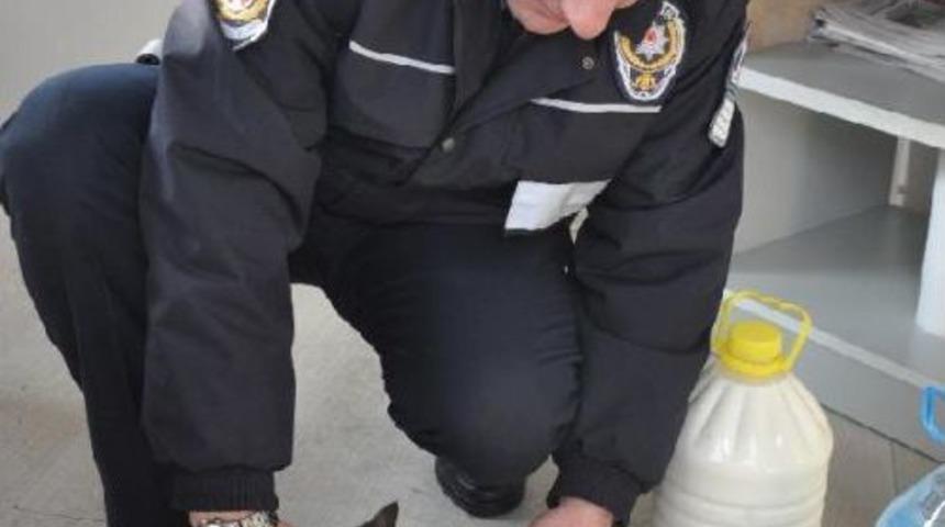 Yavru Kediye Polisler Sahip &Ccedil;ıktı