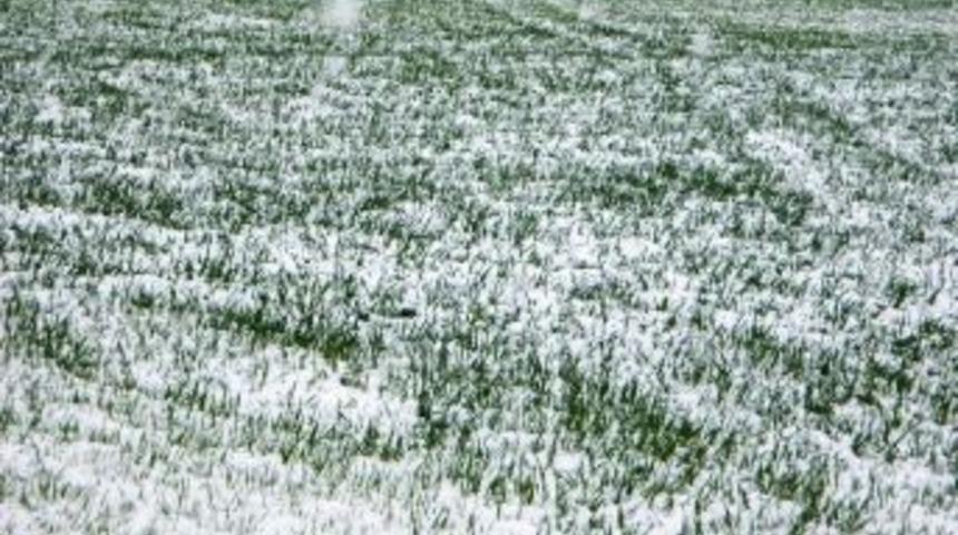 Aydın&rsquo;da Buzlanma Ve Zirai Don Riskine Dikkat