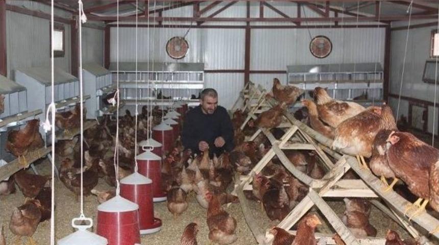 &lsquo;gen&ccedil; &Ccedil;ift&ccedil;i&rsquo; Projesinden Faydalandı &Ccedil;iftlik Kurdu