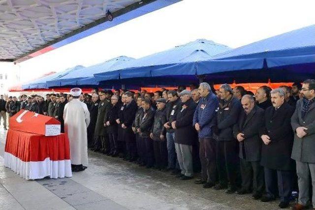 Şehidin 2 Aylık Eşi: Benim Canımı Benden Neden Aldınız, Ne Istediniz Bizden?