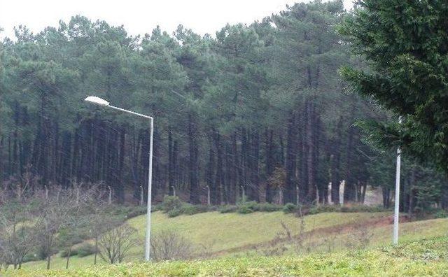 İstanbul’da Kar Yağışı Başladı