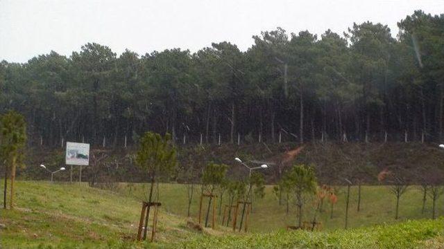 İstanbul’da Kar Yağışı Başladı