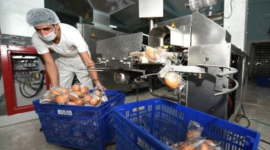 Mer-ek&rsquo;de Yedi &Ccedil;eşit Ekmek &Uuml;retiliyor