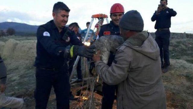 Kuyuya Düşen Kuzuyu Itfaiye Kurtardı