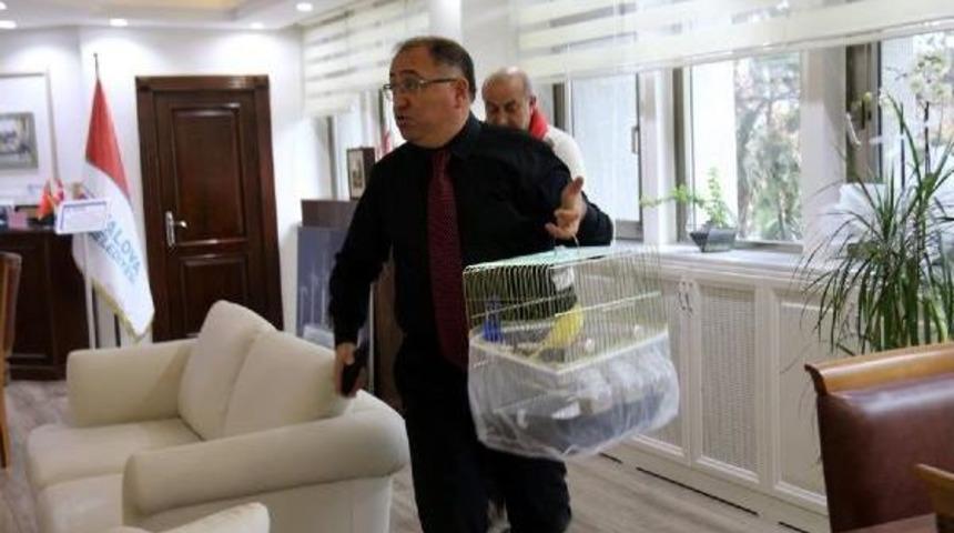 Yangın Tatbikatında Kanaryayı Almadan Makamından Ayrılmadı