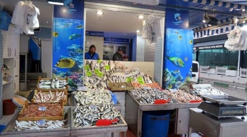 Soğuk Hava Balık Fiyatlarını Vurdu