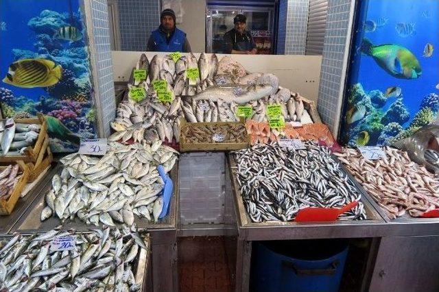 Soğuk Hava Balık Fiyatlarını Vurdu 1