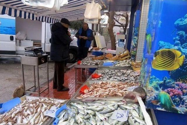 Soğuk Hava Balık Fiyatlarını Vurdu 2