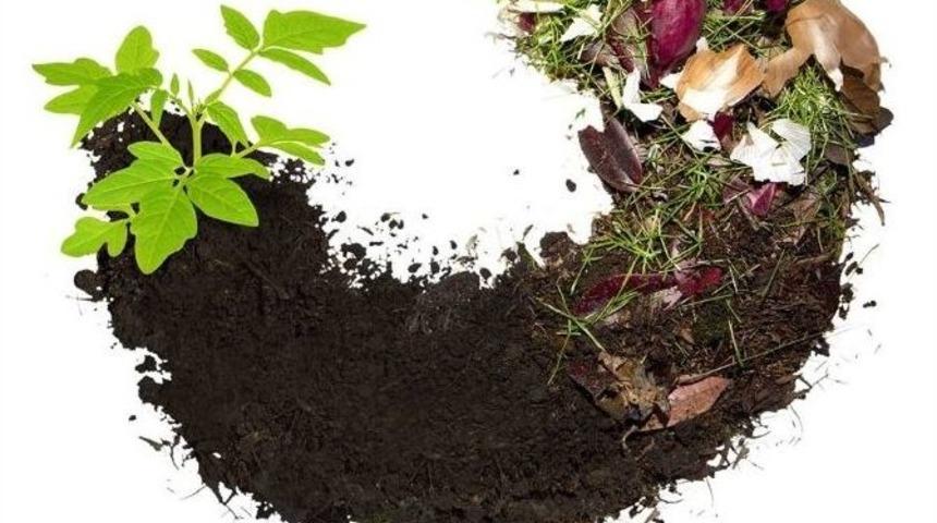 &Ccedil;ankaya, &Ccedil;&ouml;p&uuml;n&uuml; G&uuml;breye D&ouml;n&uuml;şt&uuml;recek