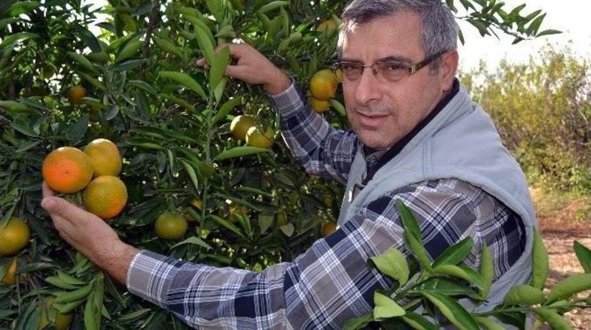 &Uuml;reticilere Don Uyarısı