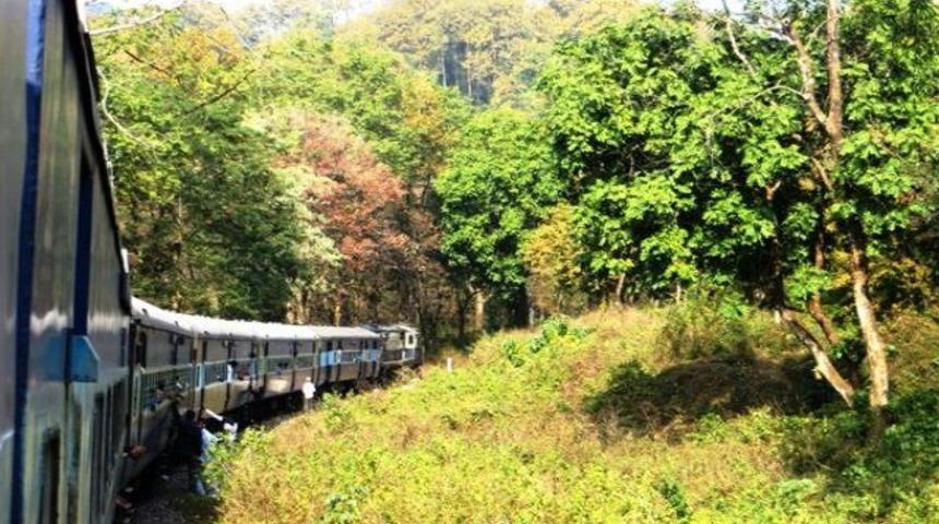 Tren fil s&uuml;r&uuml;s&uuml;ne &ccedil;arptı