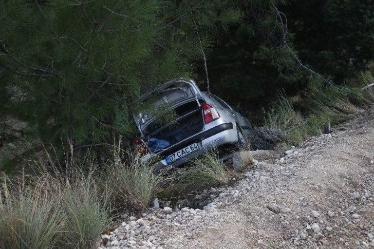 Hayatını Ağaç Kurtardı G1