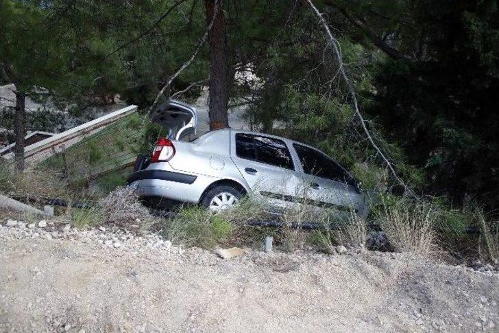 Hayatını Ağaç Kurtardı G3