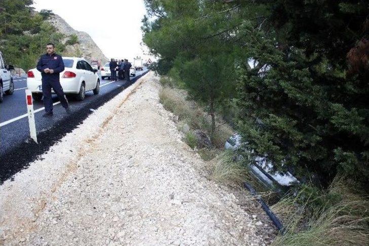 Hayatını Ağaç Kurtardı G4