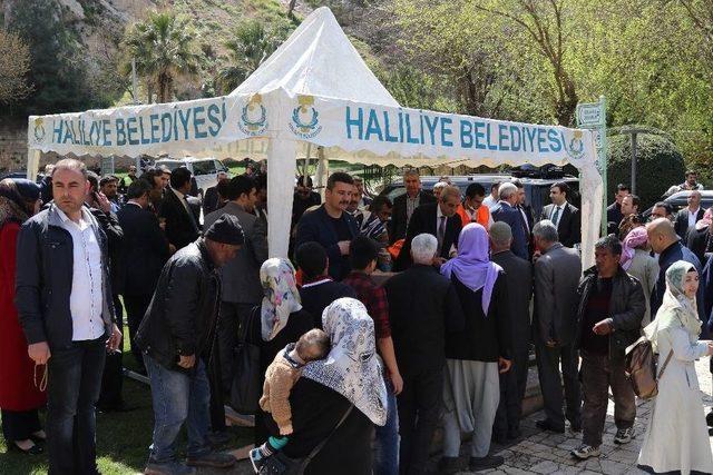 Haliliye Belediyesi Şehitler Anısına Helva Dağıttı